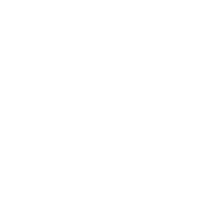 Ludic